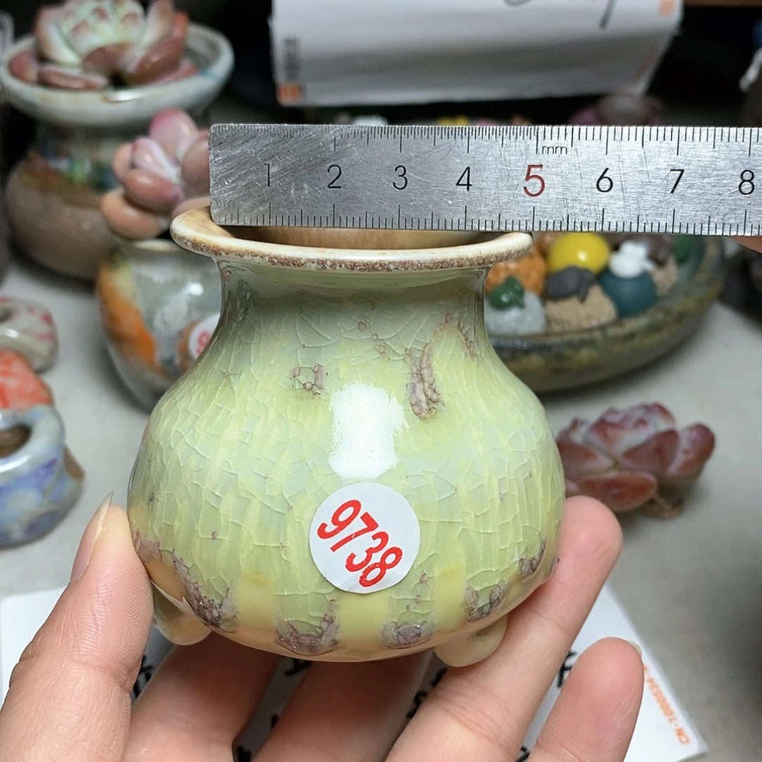 红陶20CM（含）-50CM（不含）