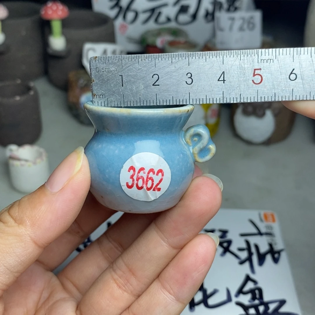 红陶20CM（含）-50CM（不含）