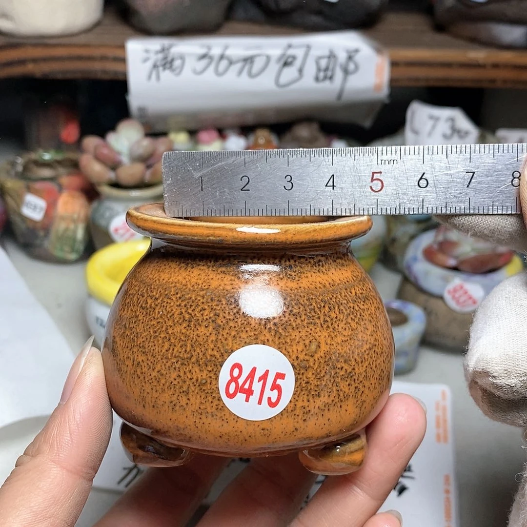 红陶20CM（含）-50CM（不含）