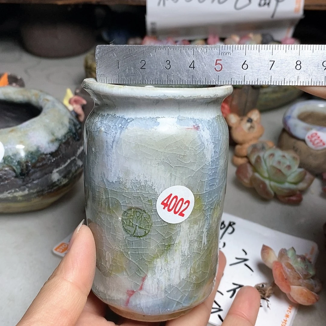 红陶拍五个送一个9.9