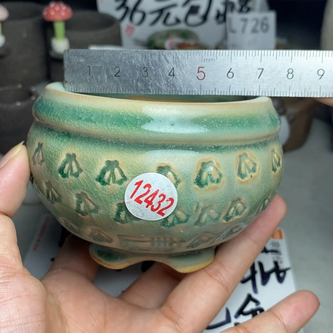 红陶20CM（含）-50CM（不含）处理