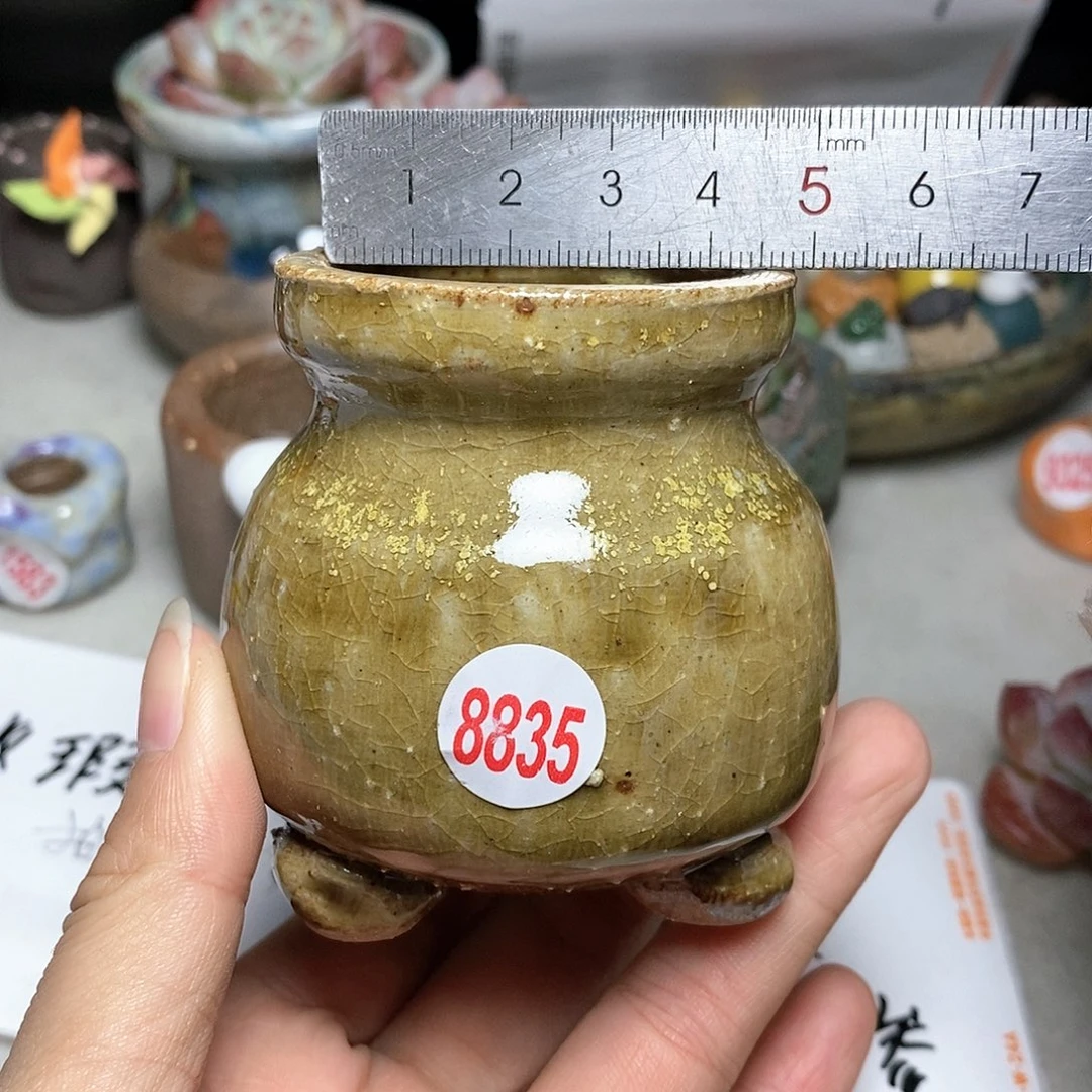 红陶20CM（含）-50CM（不含）