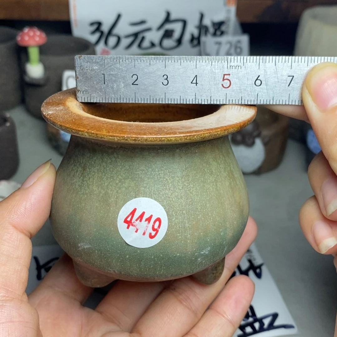 红陶20CM（含）-50CM（不含）