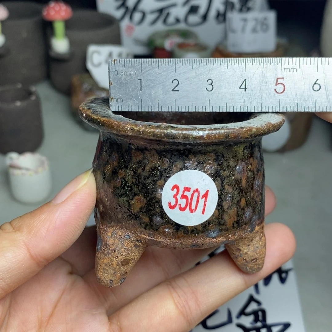 红陶20CM（含）-50CM（不含）