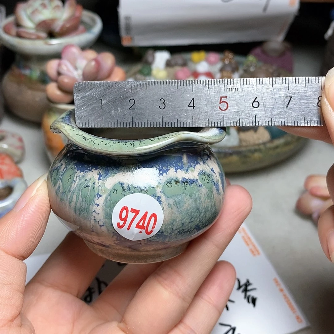 红陶20CM（含）-50CM（不含）