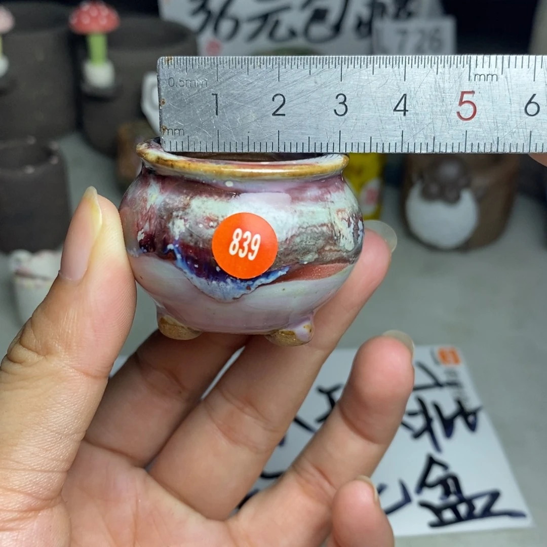 红陶20CM（含）-50CM（不含）