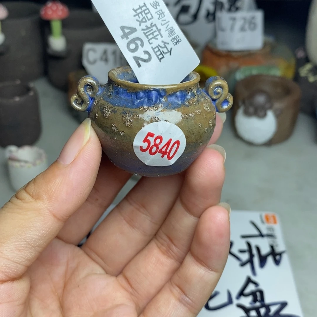 红陶20CM（含）-50CM（不含）
