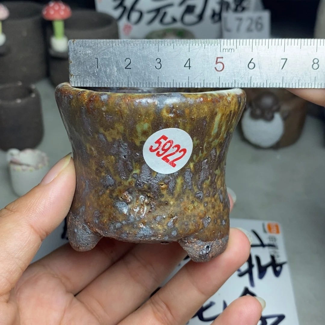 红陶20CM（含）-50CM（不含）