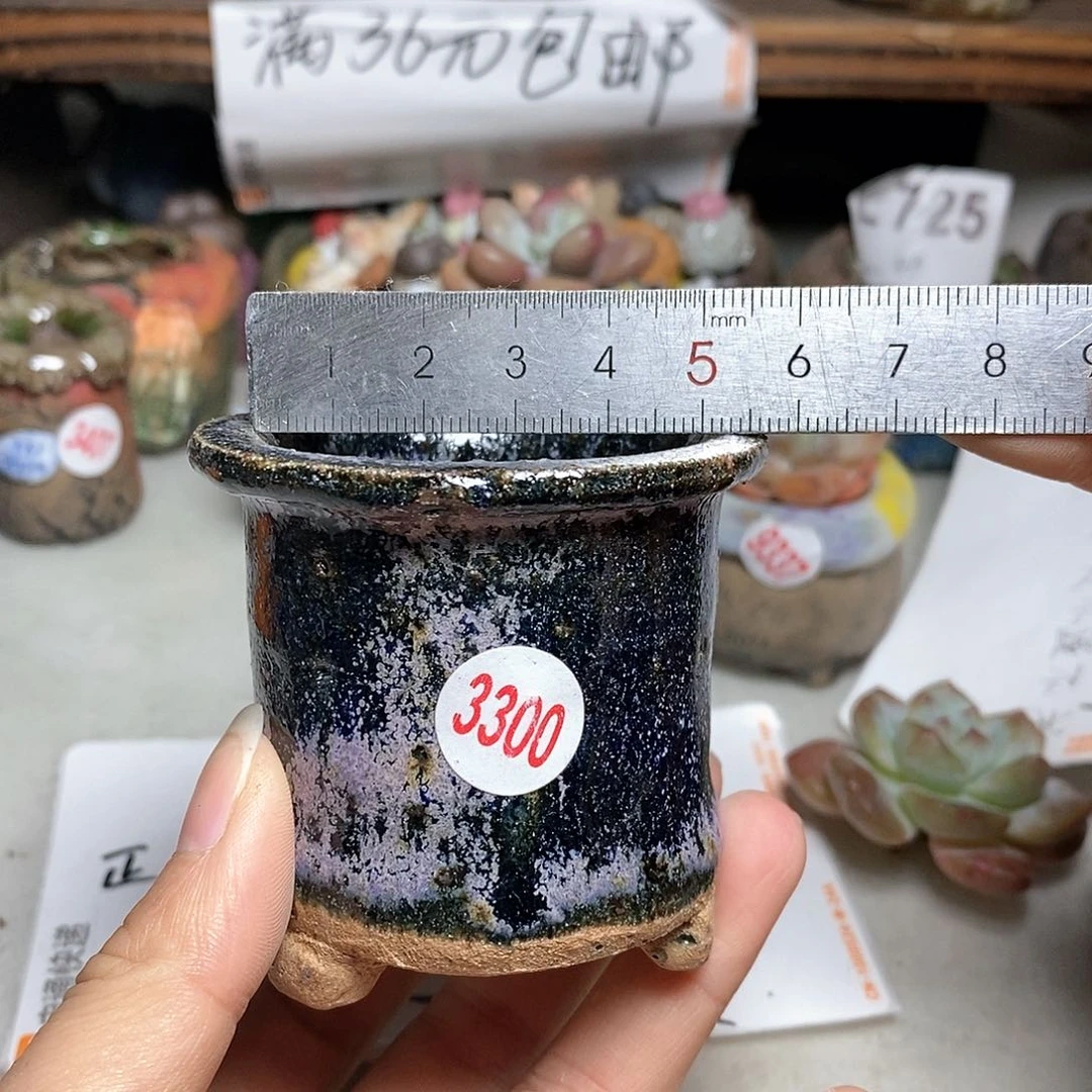 红陶拍五个送一个9.9