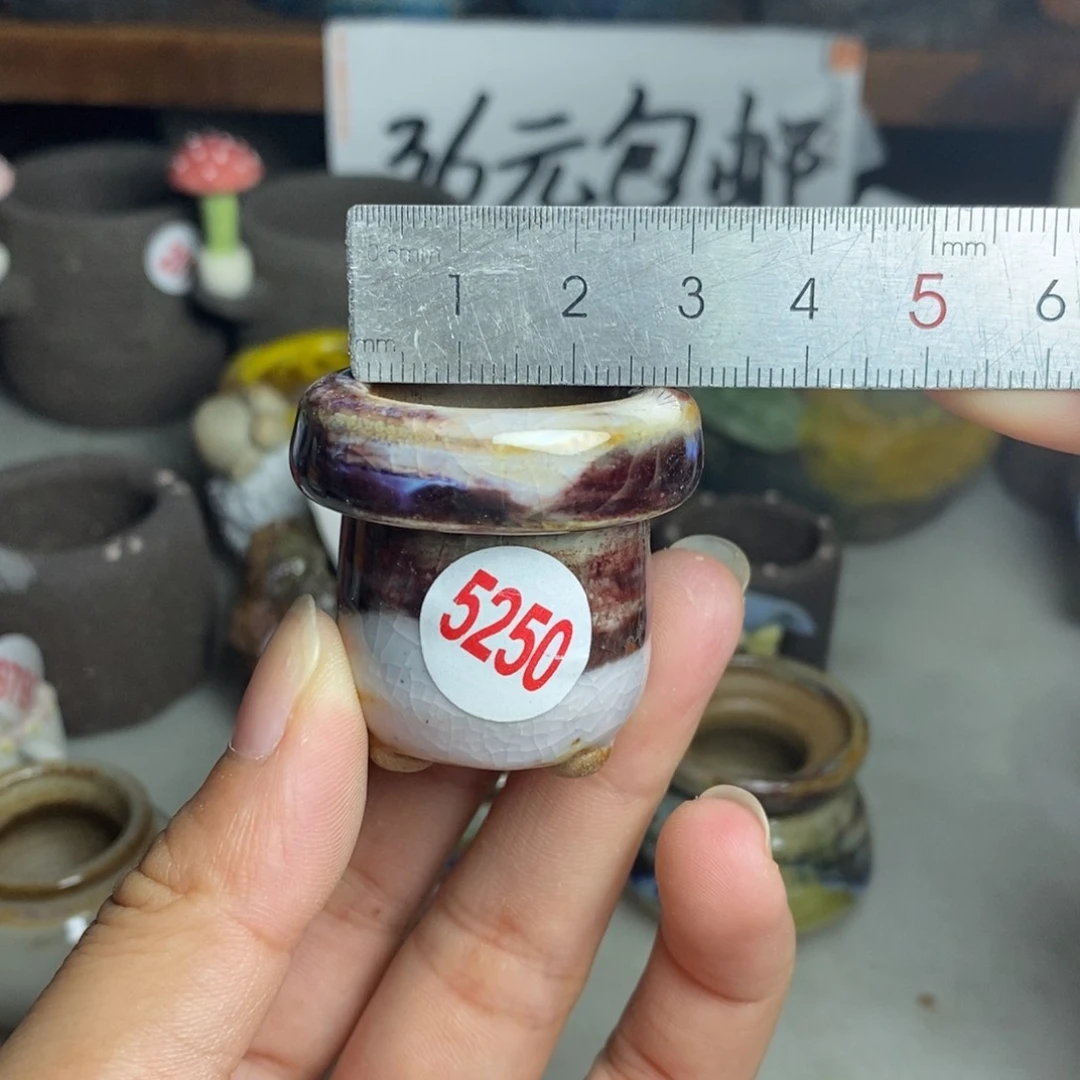 红陶20CM（含）-50CM（不含）