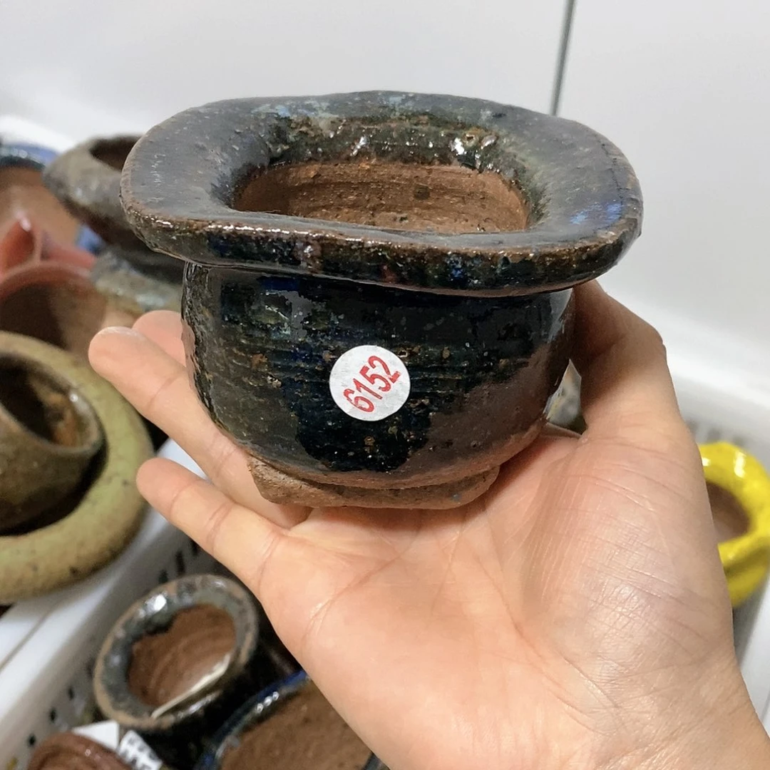 红陶拍5个送一个9.9