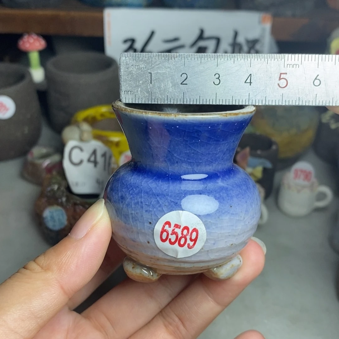 红陶20CM（含）-50CM（不含）