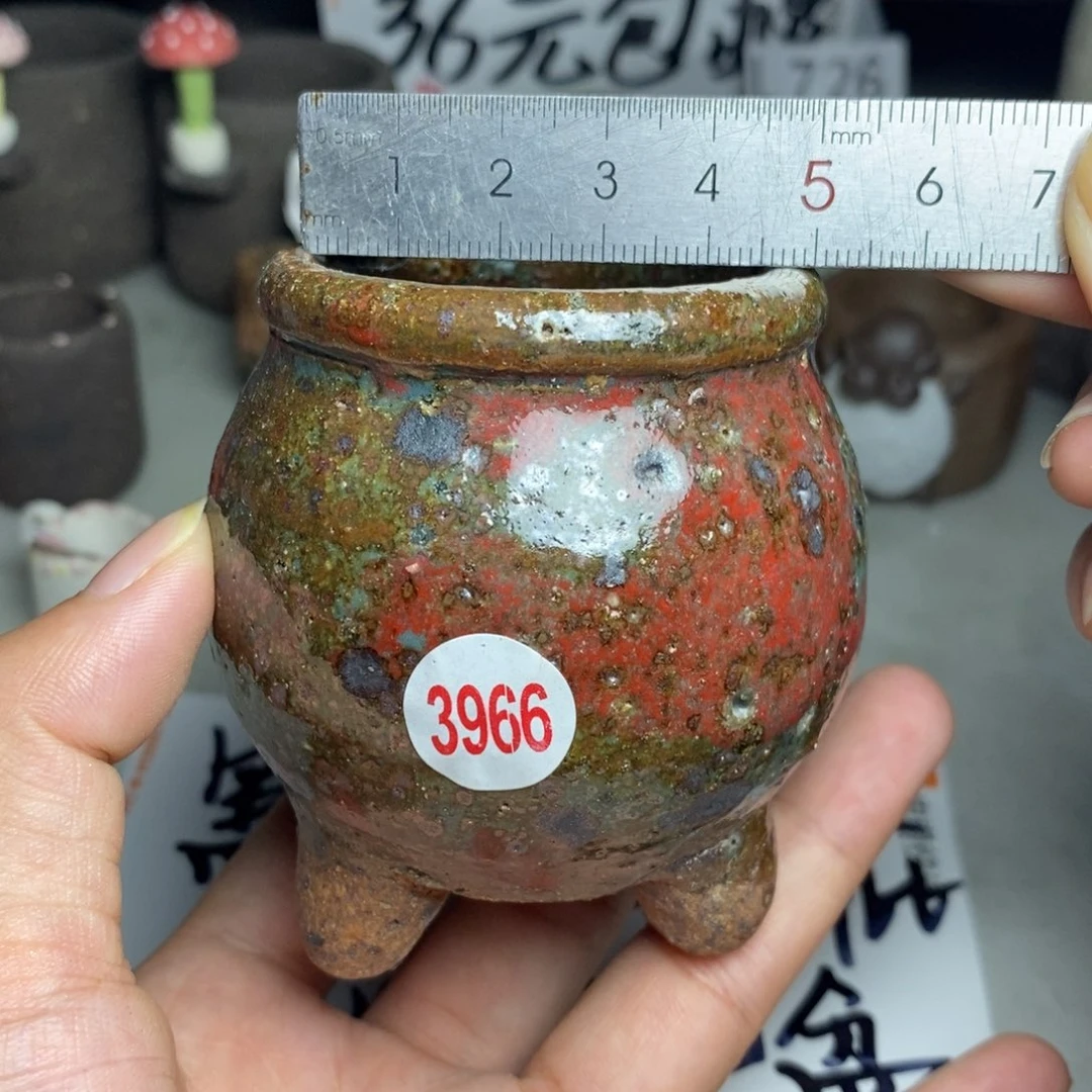 红陶20CM（含）-50CM（不含）