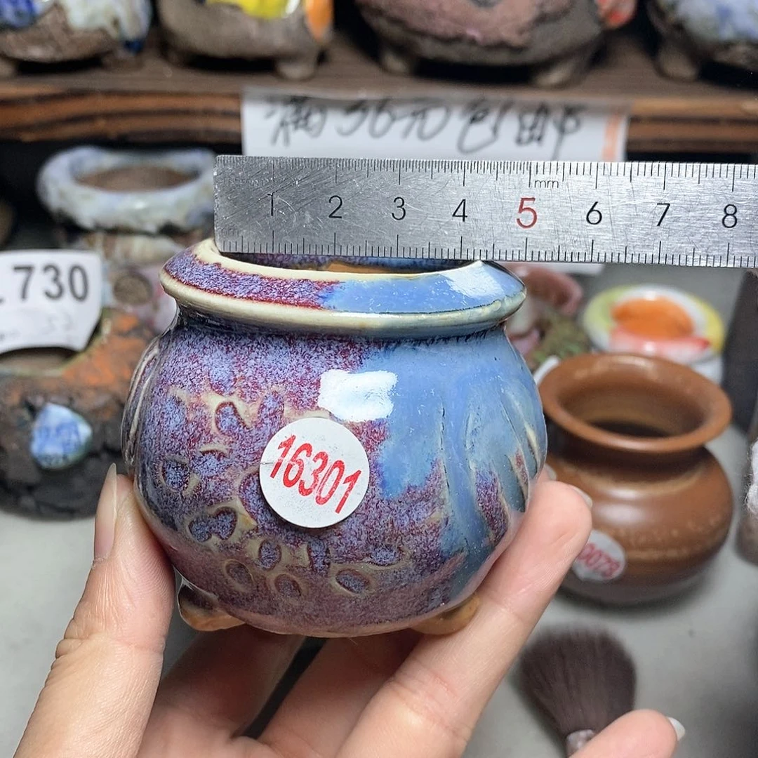 红陶20CM（含）-50CM（不含）处理