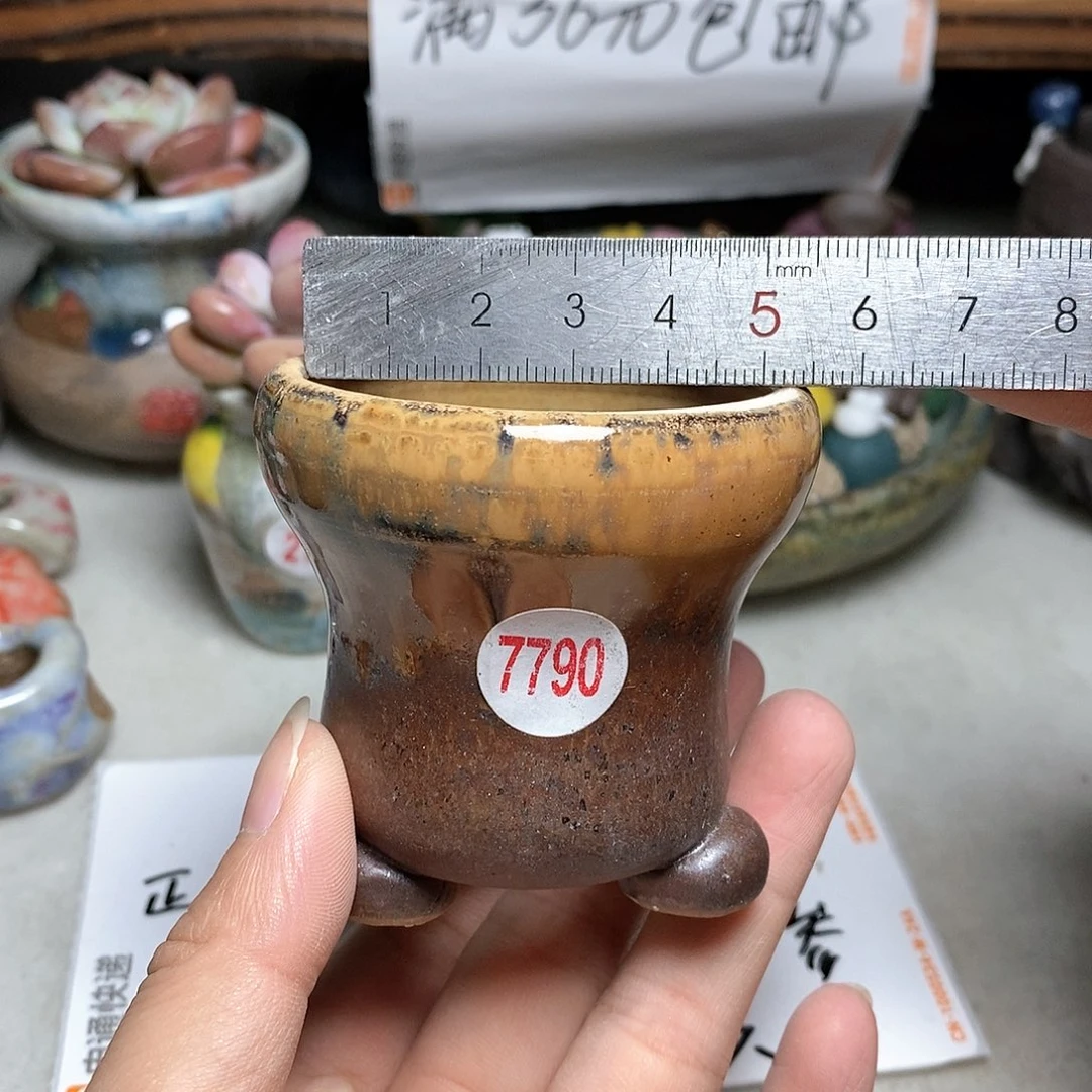 红陶20CM（含）-50CM（不含）