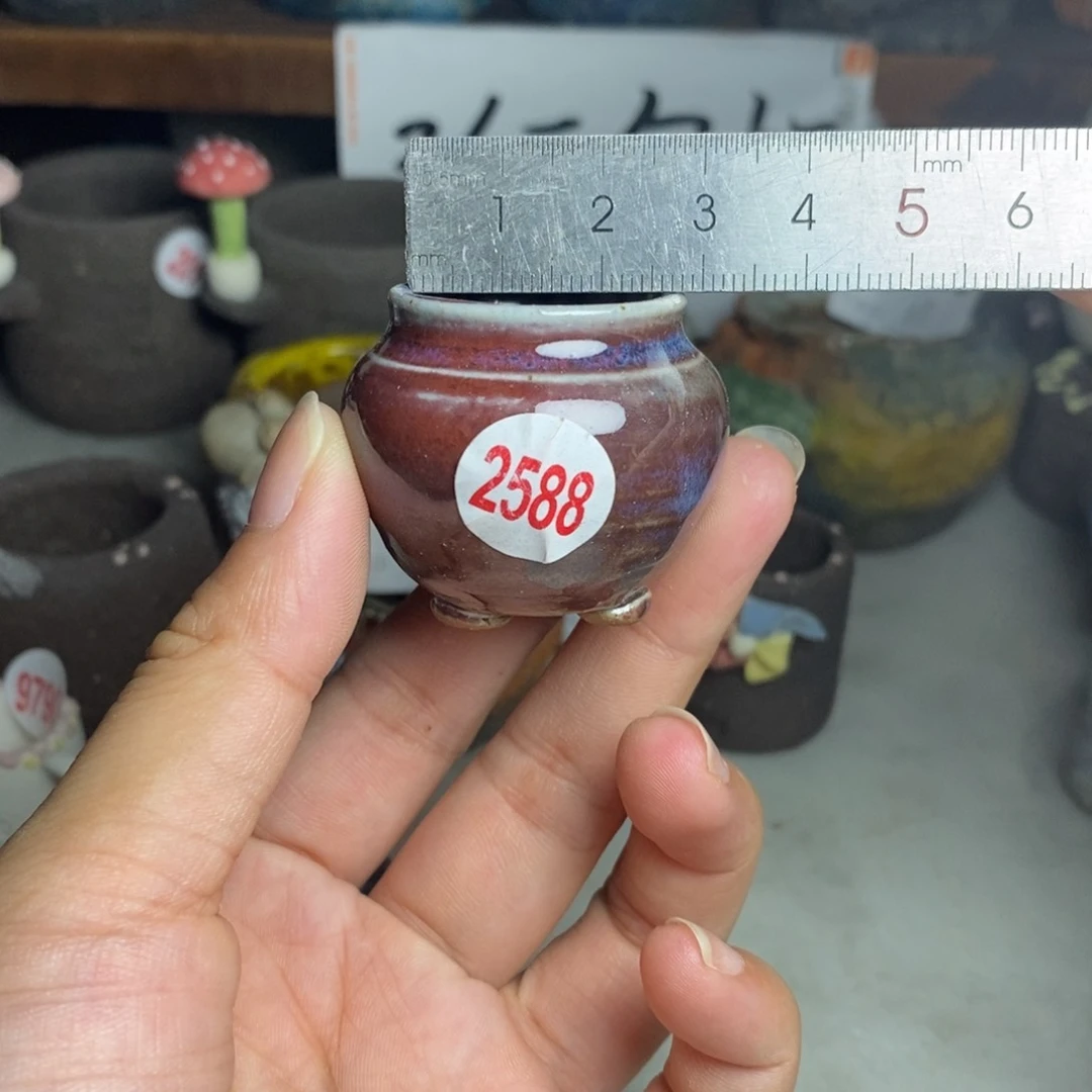 红陶20CM（含）-50CM（不含）