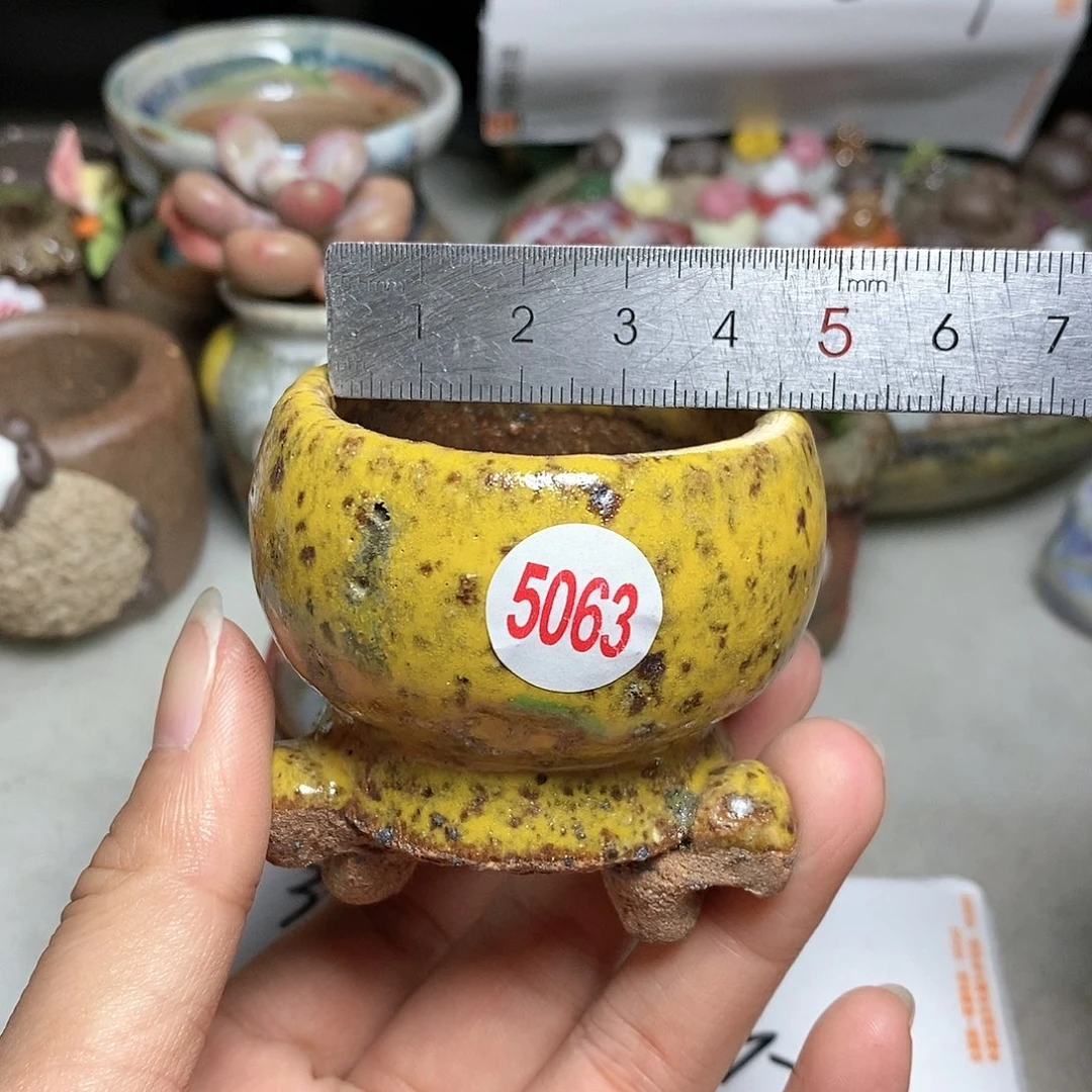 红陶20CM（含）-50CM（不含）