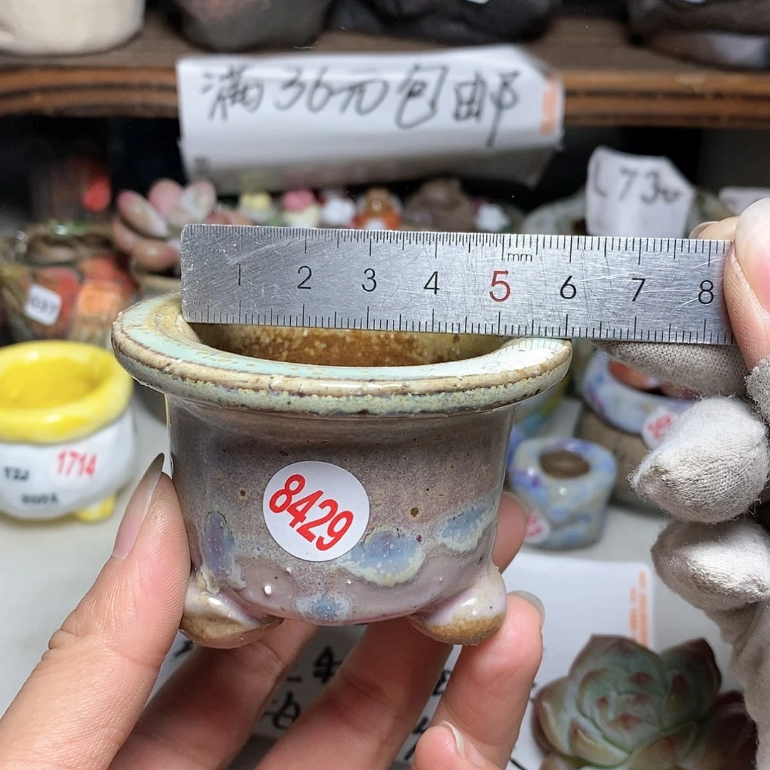 红陶20CM（含）-50CM（不含）