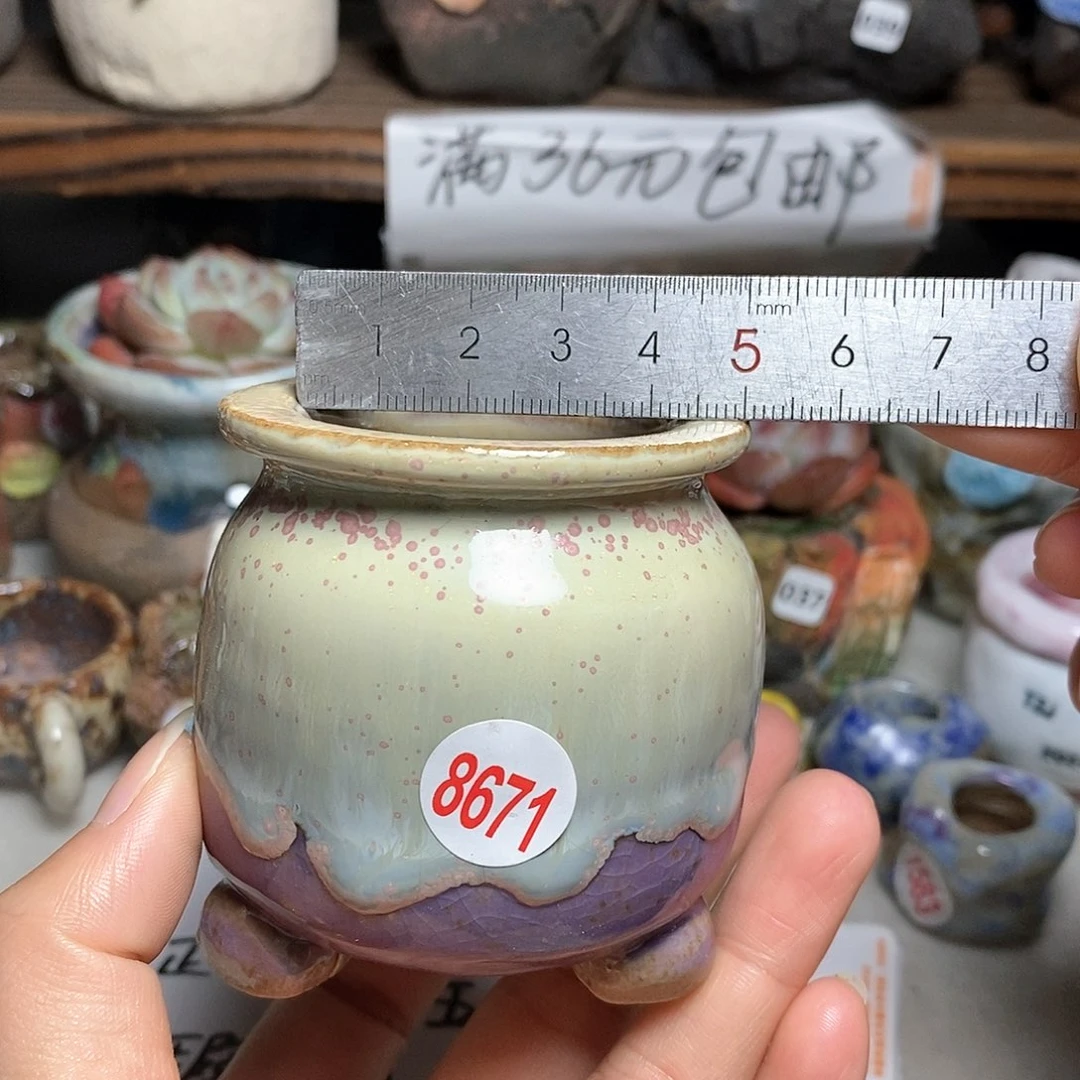 红陶20CM（含）-50CM（不含）