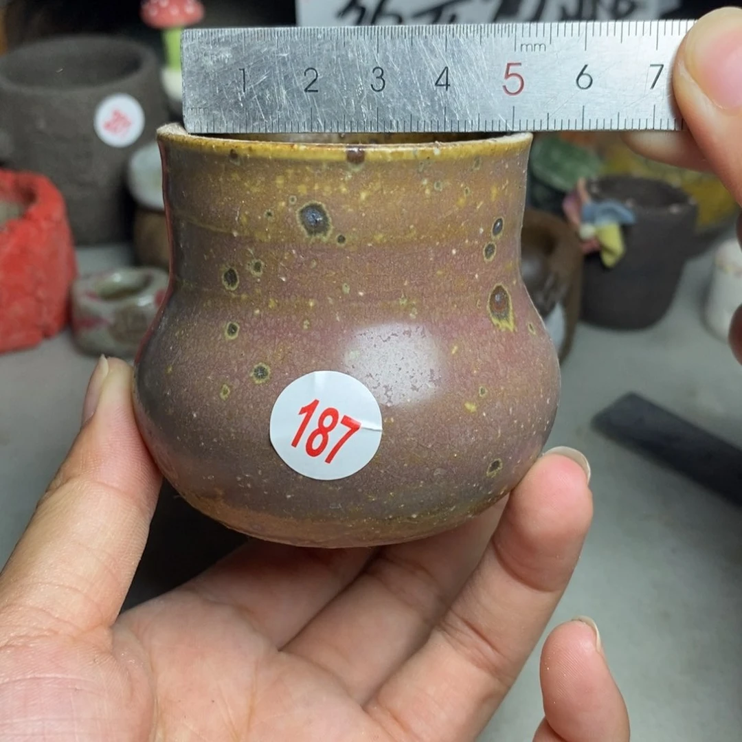 红陶20CM（含）-50CM（不含）
