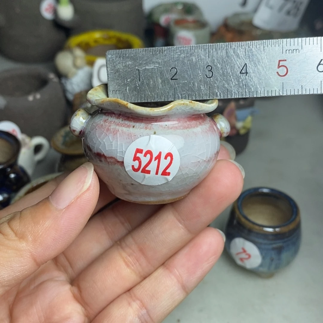 红陶20CM（含）-50CM（不含）
