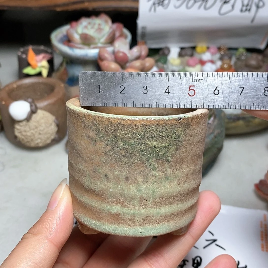 红陶20CM（含）-50CM（不含）