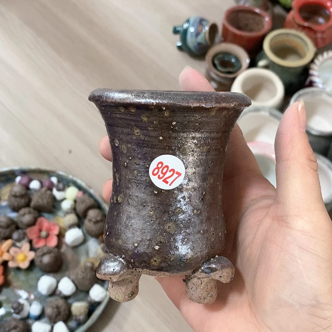 红陶20CM（含）-50CM（不含）处理