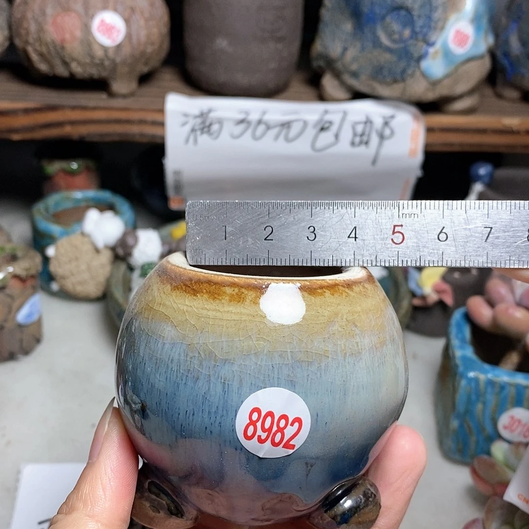 红陶20CM（含）-50CM（不含）
