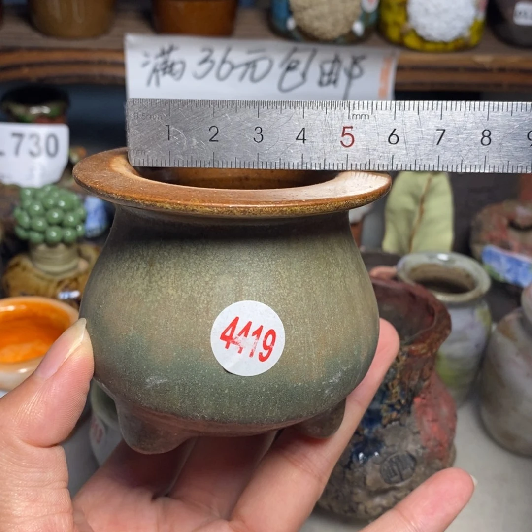 红陶20CM（含）-50CM（不含）