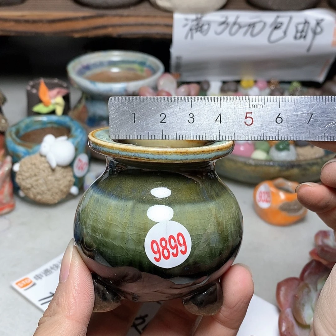 红陶20CM（含）-50CM（不含）