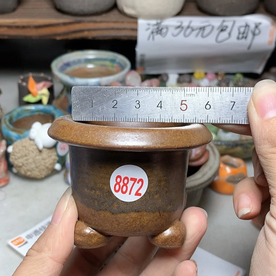 红陶20CM（含）-50CM（不含）