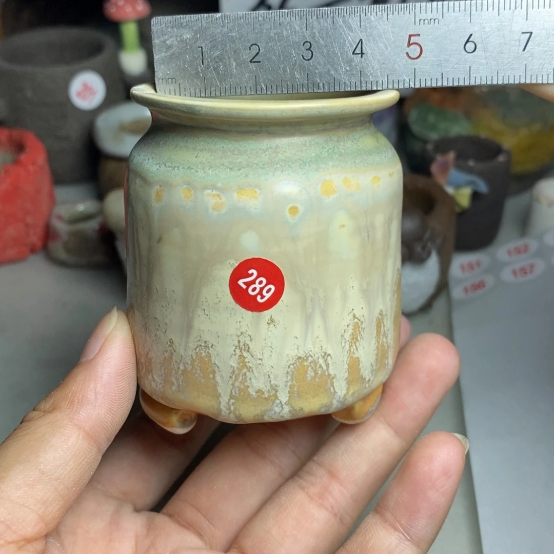 红陶20CM（含）-50CM（不含）