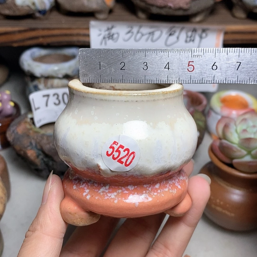 红陶20CM（含）-50CM（不含）