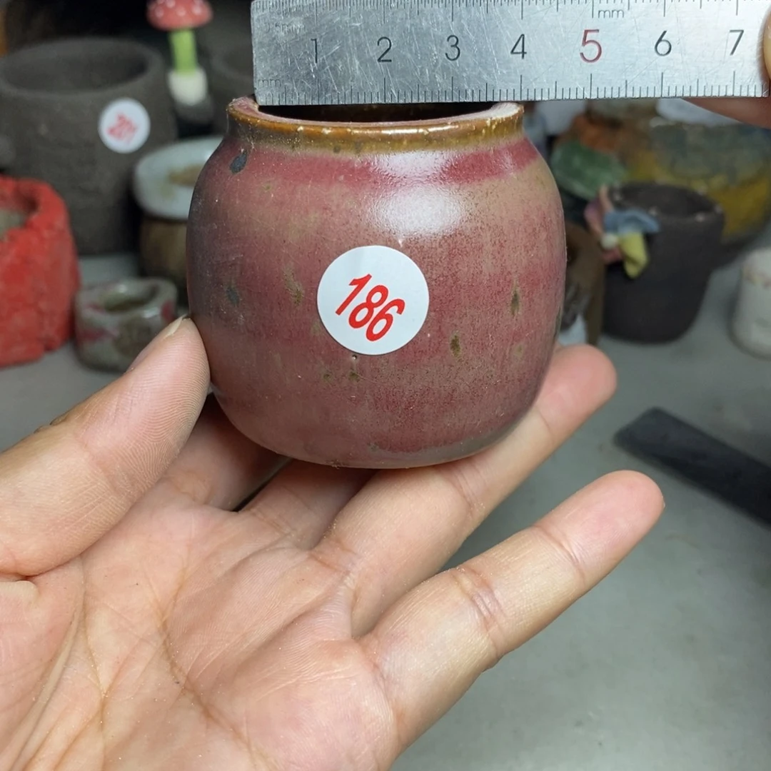 红陶20CM（含）-50CM（不含）