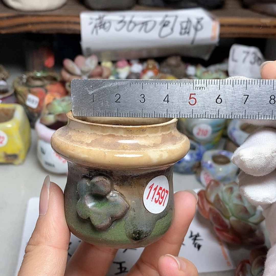 红陶20CM（含）-50CM（不含）