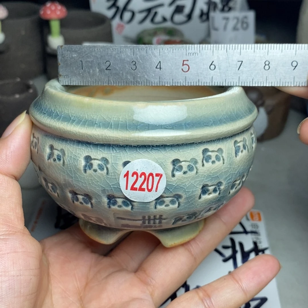 红陶20CM（含）-50CM（不含）