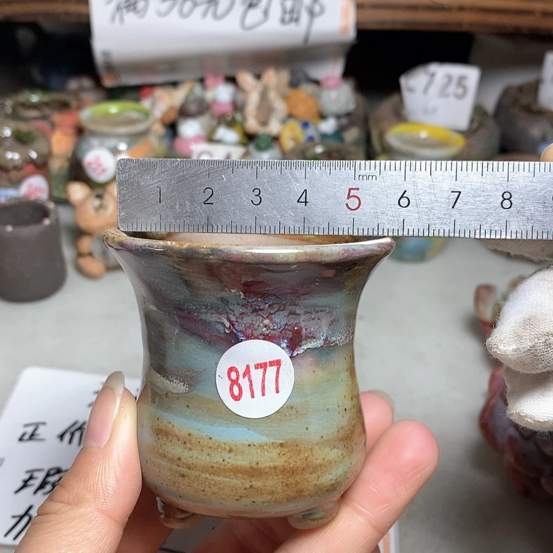 红陶20CM（含）-50CM（不含）