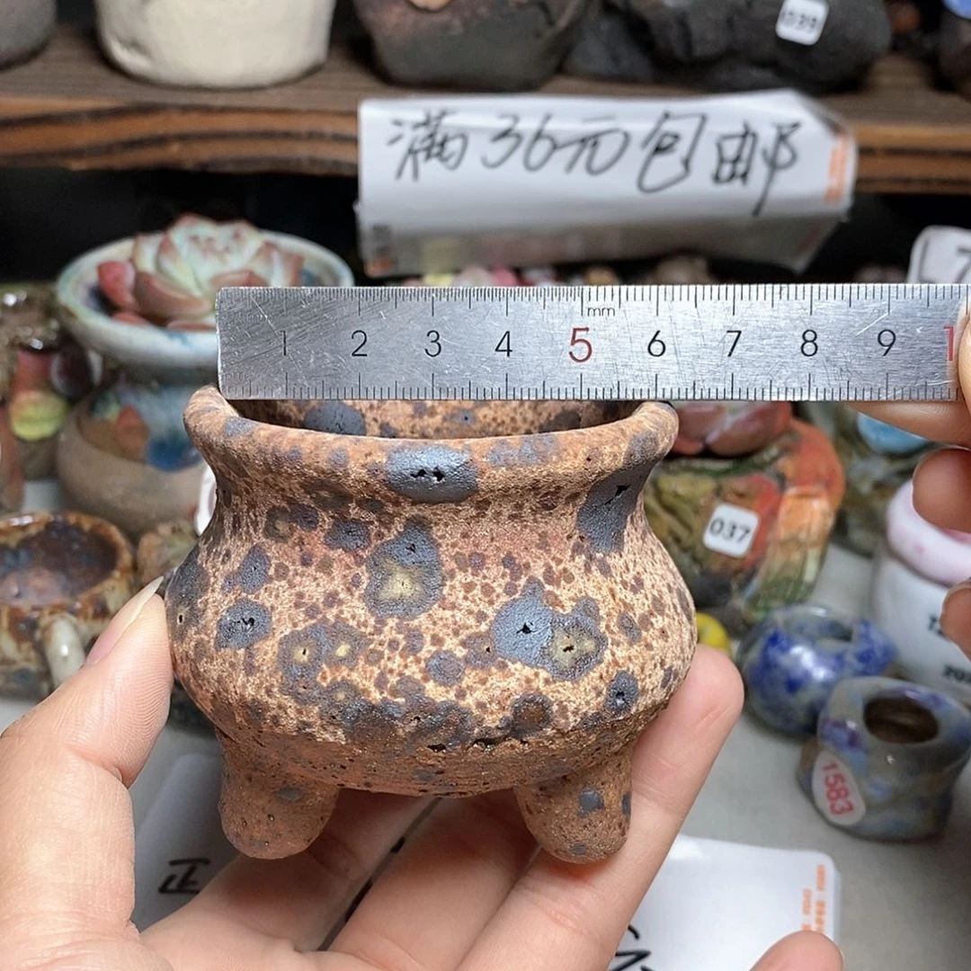 红陶20CM（含）-50CM（不含）