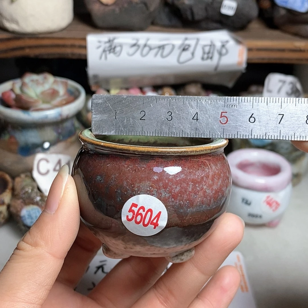 红陶20CM（含）-50CM（不含）