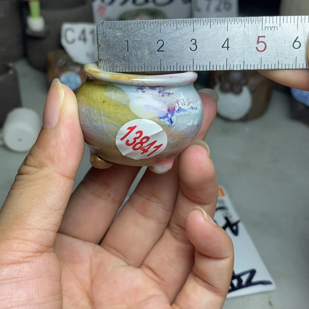 红陶20CM（含）-50CM（不含）
