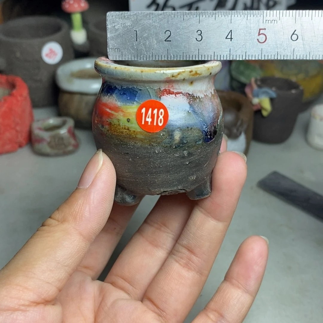 红陶20CM（含）-50CM（不含）