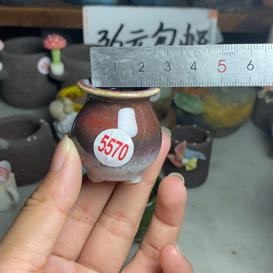 红陶20CM(含)-50CM(不含)