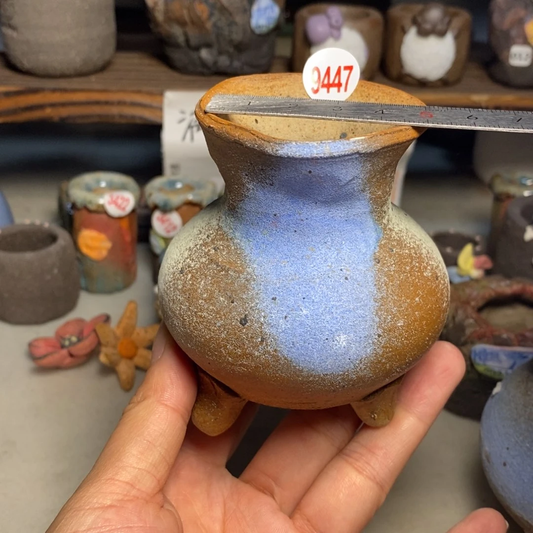 红陶20CM（含）-50CM（不含）处理