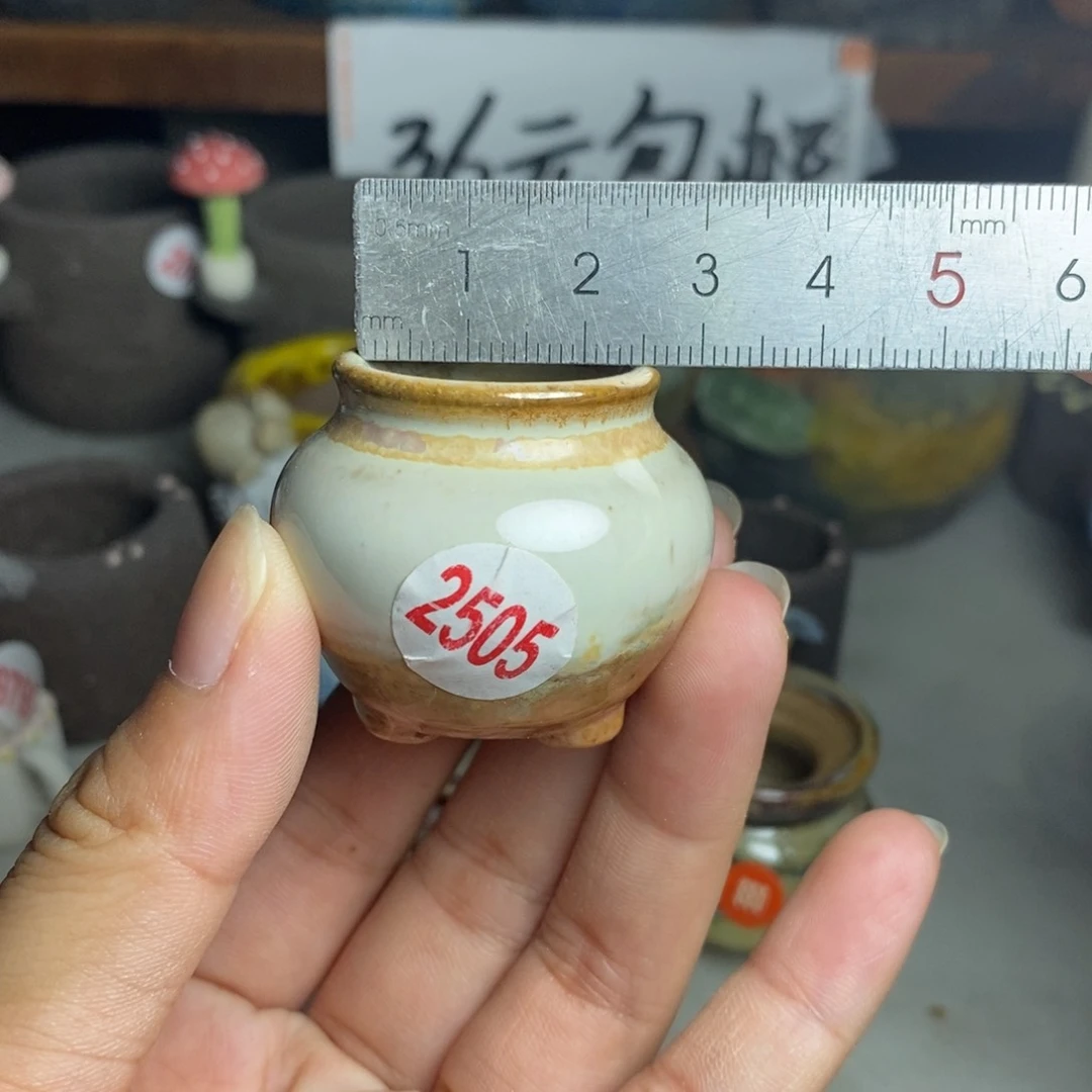 红陶20CM（含）-50CM（不含）