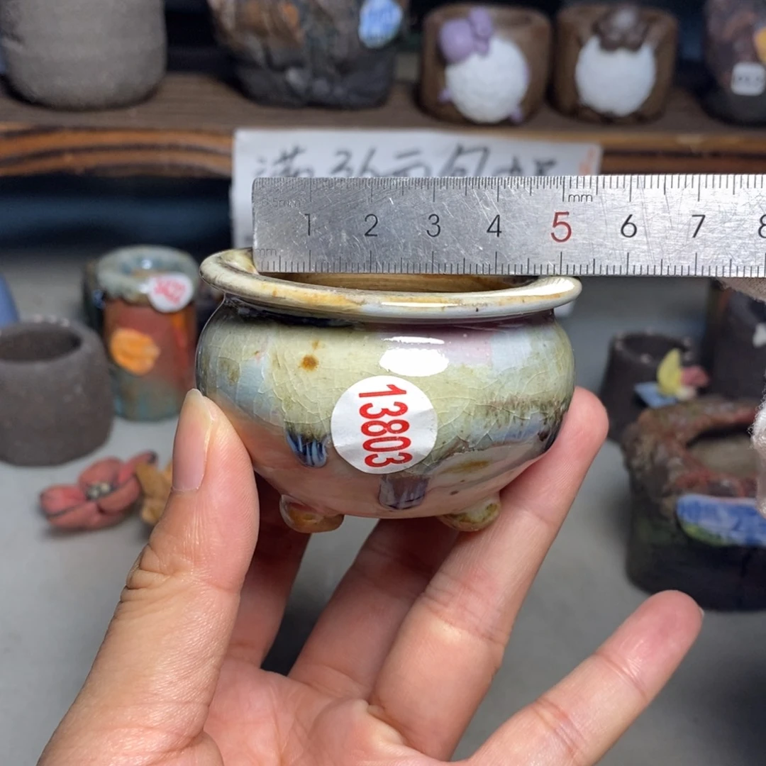 红陶20CM（含）-50CM（不含）