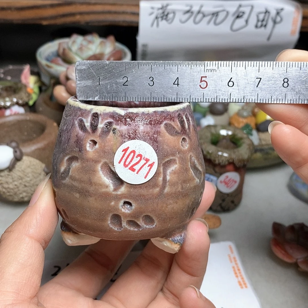 红陶20CM（含）-50CM（不含）