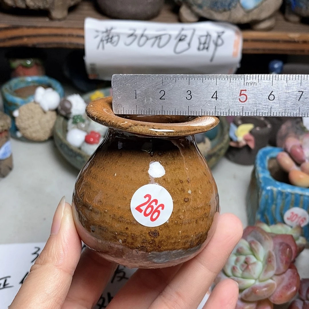 红陶20CM（含）-50CM（不含）