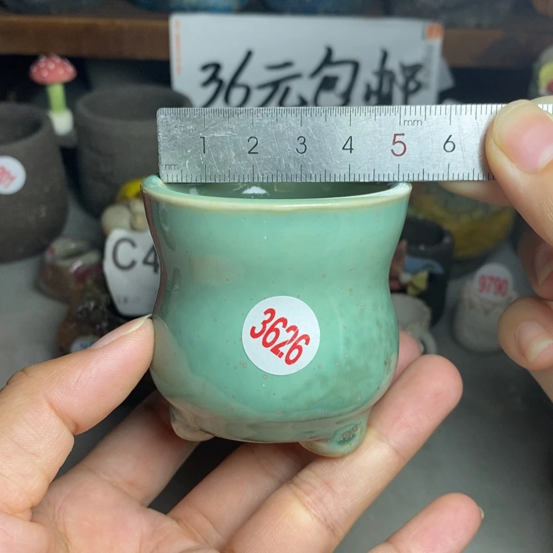 红陶20CM（含）-50CM（不含）