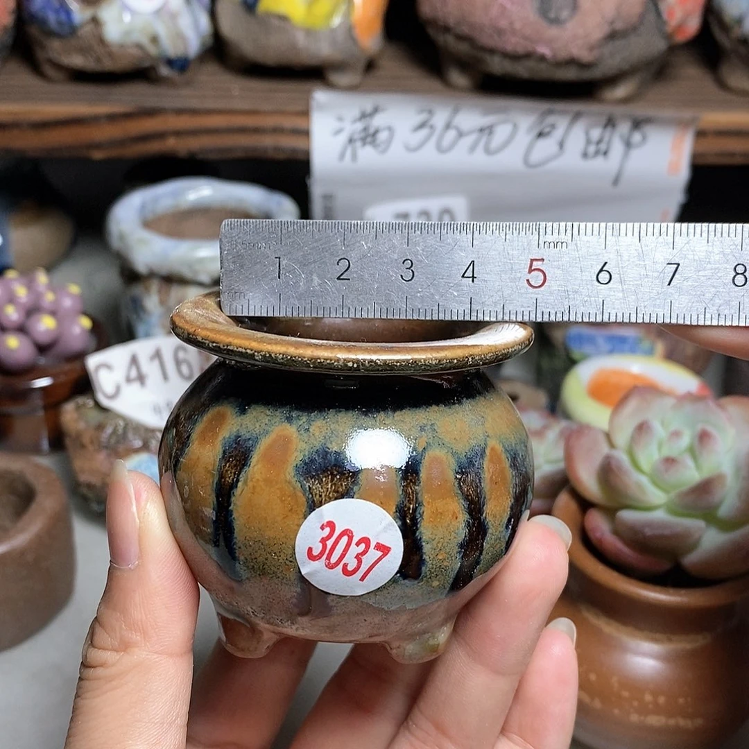 红陶20CM（含）-50CM（不含）