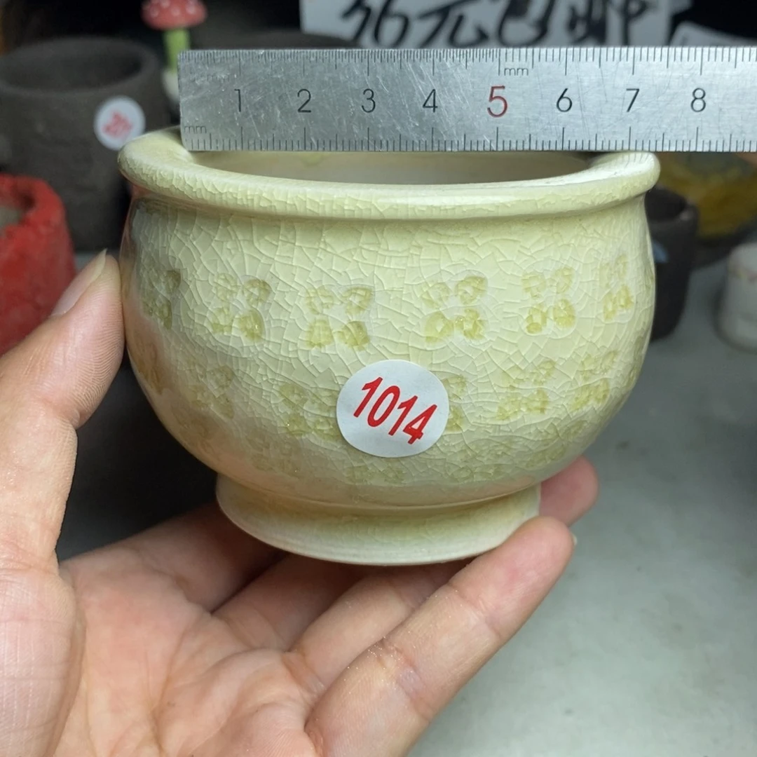 红陶20CM（含）-50CM（不含）